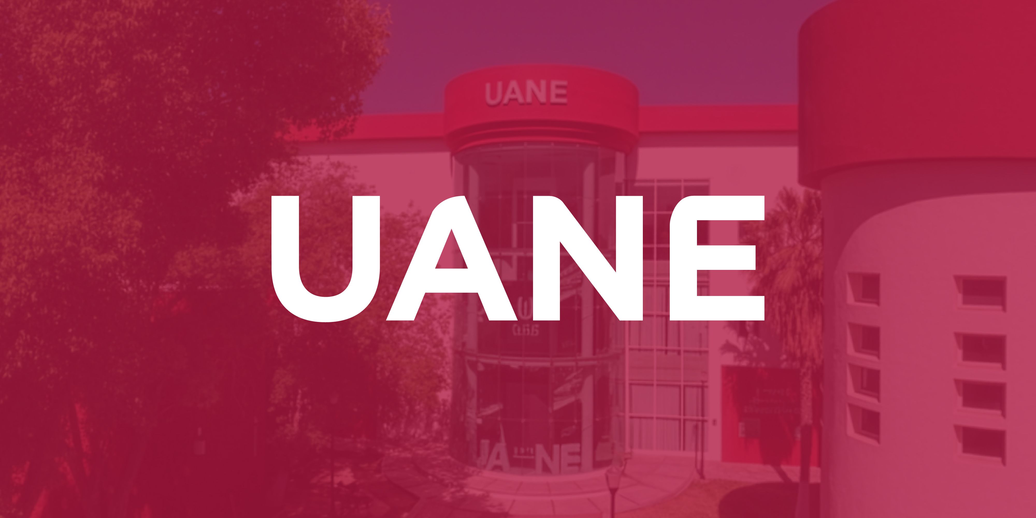 normatividad-uane